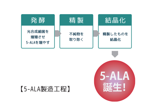 5-ALA製造工程