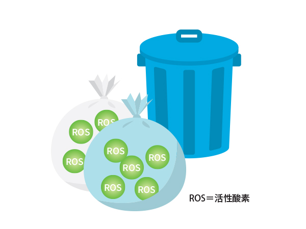 ROS＝活性酸素